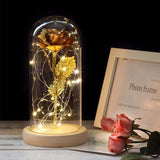 Beauty & the Beast Rose Lamp