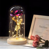 Beauty & the Beast Rose Lamp