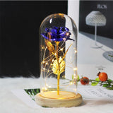 Beauty & the Beast Rose Lamp