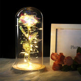 Beauty & the Beast Rose Lamp