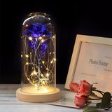 Beauty & the Beast Rose Lamp