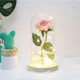 Beauty & the Beast Rose Lamp