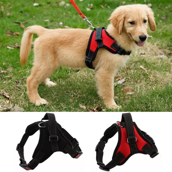 No-Pull dog harness, adjustable harness for medium and large dogs