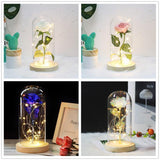 Beauty & the Beast Rose Lamp