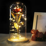 Beauty & the Beast Rose Lamp