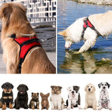 No-Pull Dog Harness, Adjustable Harness for Dogs